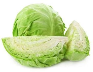 Fresh Green Cabbage