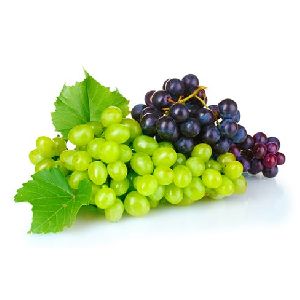 fresh seedless grapes