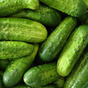 Fresh Cucumber