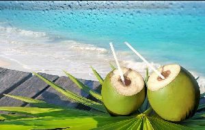 Fresh Green Coconut