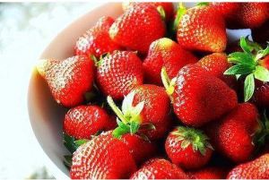 Fresh Red Strawberry