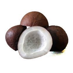Indian Coconut Copra