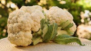 Fresh Cauliflower