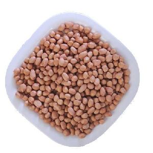 Groundnut Seeds