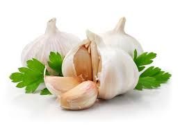 Fresh Garlic