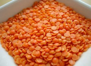 masoor dal red lentils