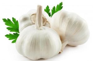 natural garlic