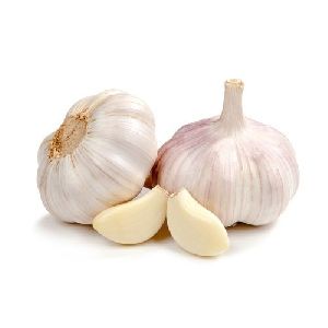 White Garlic