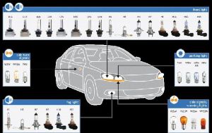 Halogen Headlights