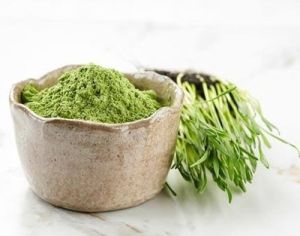 Wheat Grass Powder