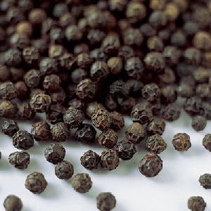 Black Pepper