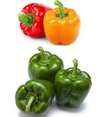 Capsicum