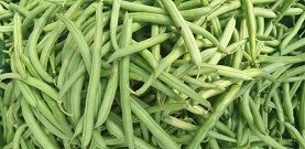 French Beans