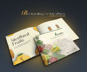 Brochure & Cataloges Design