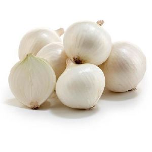 Fresh White Onion