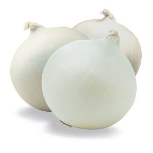 Nasik White Onion