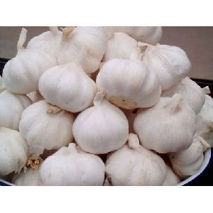natural Fresh Garlic