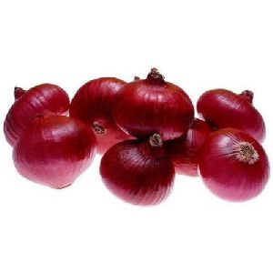 Small Red Onion