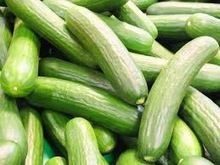 Cucumber