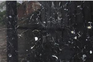 Black Natural Indian Botticino Marble Slab