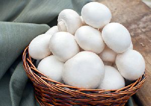 Fresh White Button Mushroom