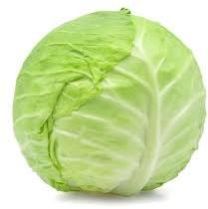 Fresh Cabbage