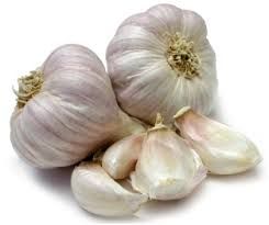 natural garlic