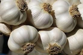 Natural White Garlic