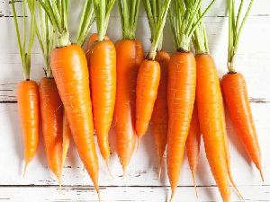 Fresh Carrots