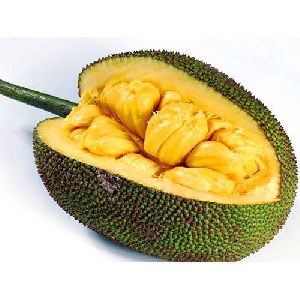 Fresh Jackfruit