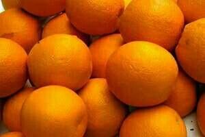 fresh orange fruits