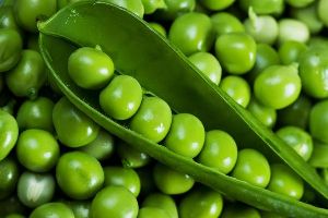 Fresh Peas