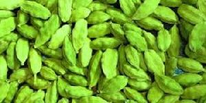 Cardamom