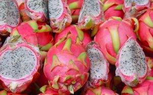 Dragon fruit