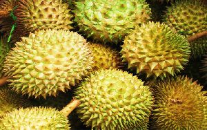 durian fruit