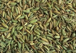 Fennel Seeds