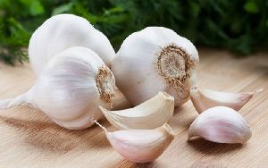 Fresh Garlic