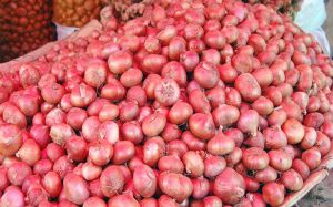 Fresh Red Onion