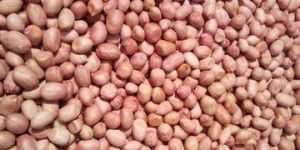 Groundnuts