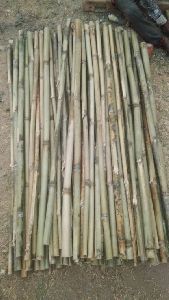 bamboo fiber