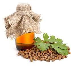 Coriander Oil