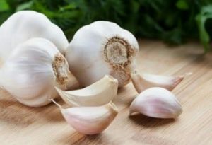 Fresh Garlic