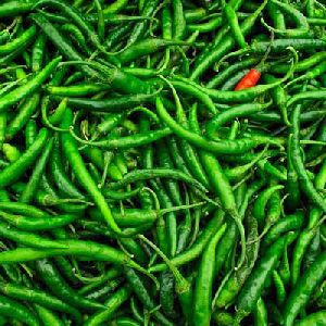 Fresh Green Chilli