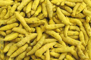 Turmeric Finger