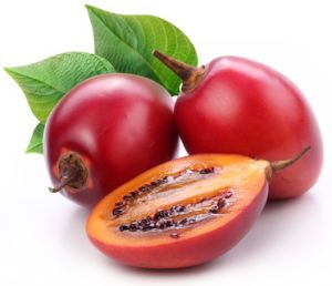 Tree Tomato Seed