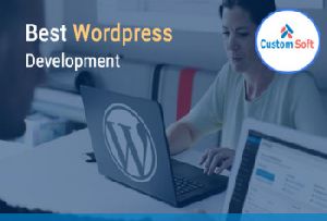 Best Wordpress Development Services by CustomSoft