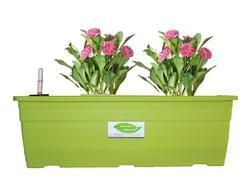 Rectangular Planter