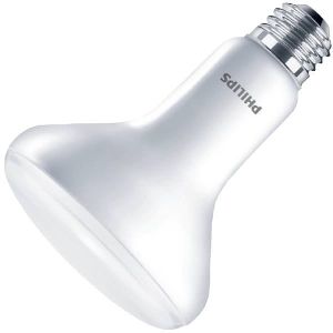 Philips LED Light Bulb