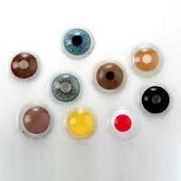 optical contact lenses