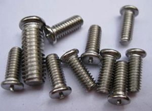 DUPLEX STEEL 31803 SCREW